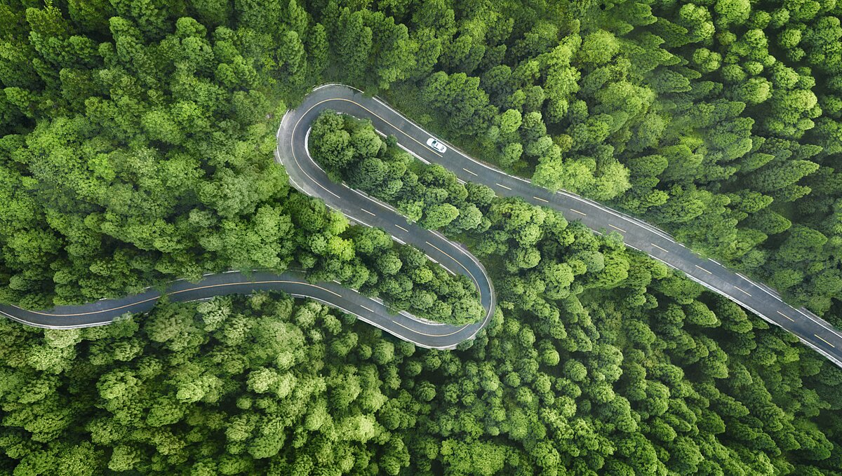 kurvige straße, die durch einen grünen wald führt aus der vogelperspektive