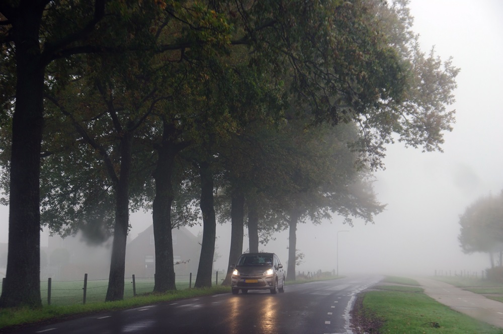 Das Bild zeigt eine neblige Straße, die von großen, hochgewachsenen Bäumen gesäumt ist. Ein Auto fährt mit eingeschaltetem Licht auf der regennassen Fahrbahn, während der Nebel die Sicht weiter in die Ferne einschränkt. Auf der rechten Seite der Straße ist eine grasbewachsene Fläche erkennbar. Die Atmosphäre wirkt herbstlich und ruhig, mit einem Fokus auf die Düsternis und das schlechte Wetter, das die Umgebung leicht verschwommen erscheinen lässt.