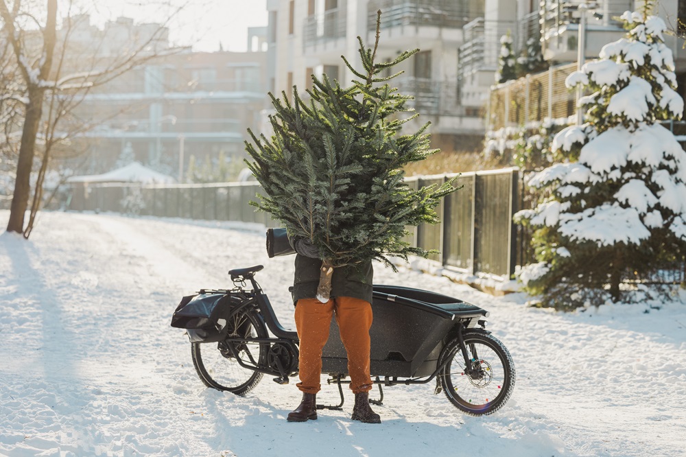 Das Bild zeigt eine Person, die einen Weihnachtsbaum in einem Lastenfahrrad transportieren möchte. Die Person steht vor dem Fahrrad und hält den Baum im Arm. Der Bau, verdeckt das Gesicht der Person. Das Fahrrad ist auf einer schneebedeckten Straße in einer Wohngegend geparkt. Im Hintergrund sind verschneite Gebäude, Zäune und Bäume zu sehen, was eine ruhige winterliche Atmosphäre vermittelt.