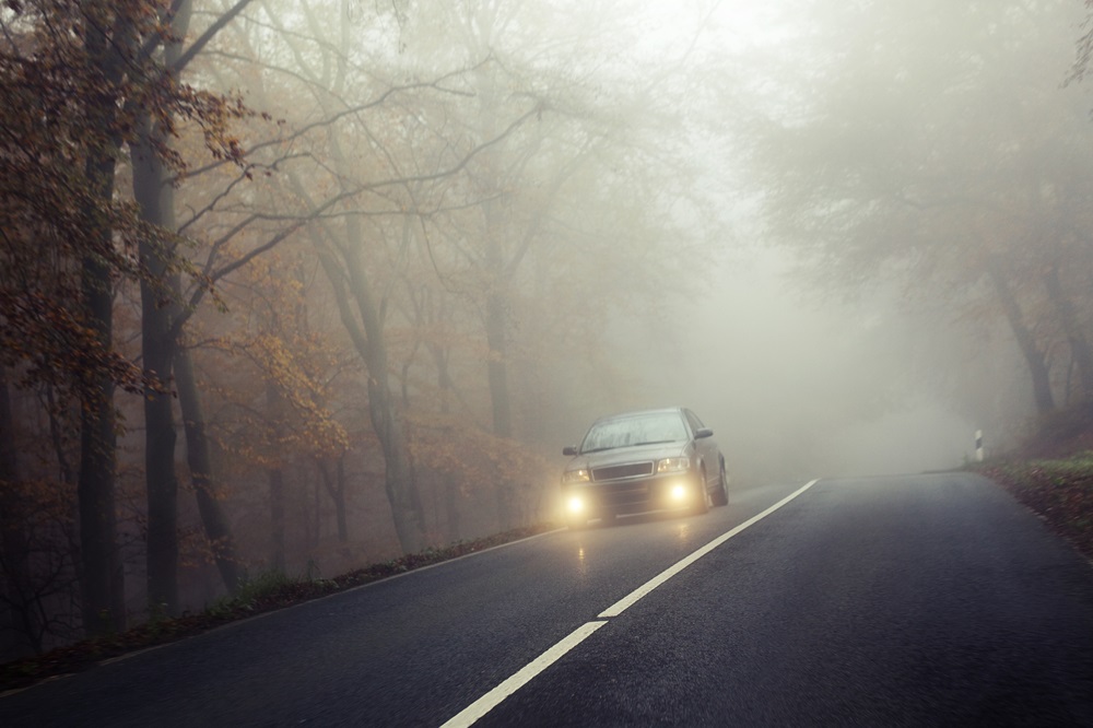 Auto fährt mit Scheinwerfern auf einer Straße durch Herbstliche Wald mit Nebel 