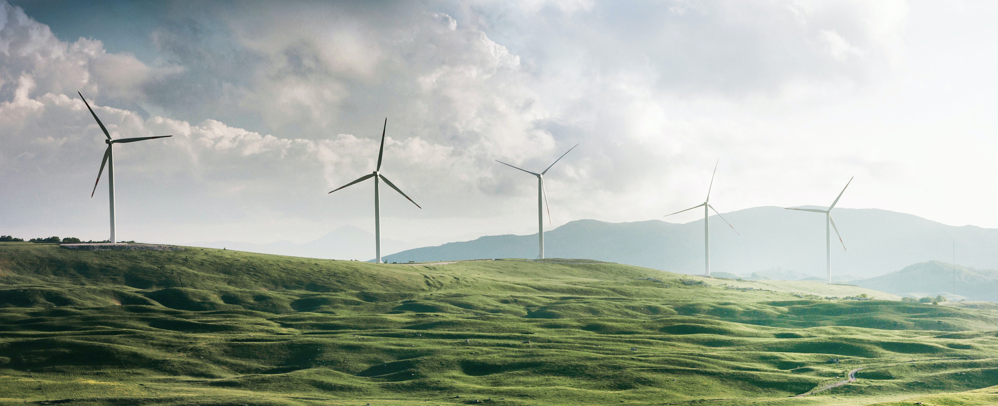 Windräder nebeneinander auf einem grünen Berg